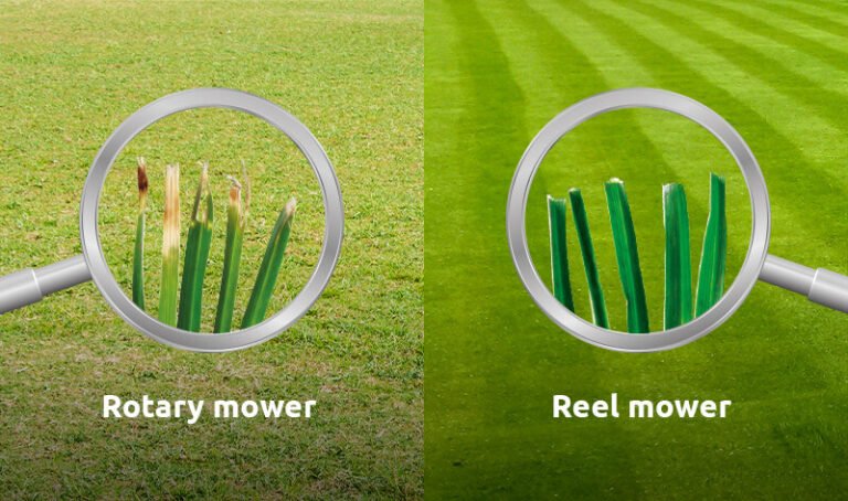 Choosing the Right Lawn Mower: Rotary Mowers vs Cylinder Mowers