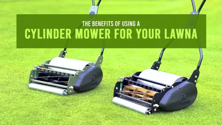 The Benefits of Using a Cylinder Mower for Your Lawn