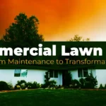 Commercial Lawn Care: From Maintenance to Transformation