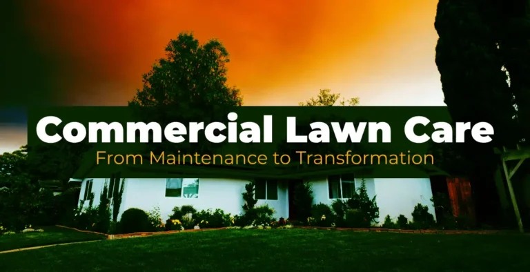 Commercial Lawn Care: From Maintenance to Transformation