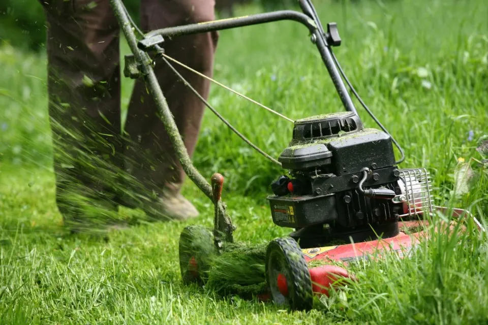 grass-cutting-machine.-Lawn-maintenance-yard