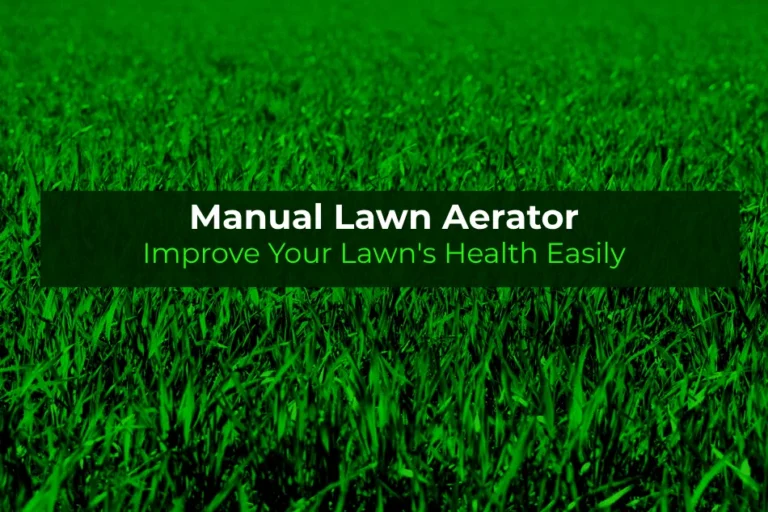 Manual Lawn Aerator: Improve Your Lawn's Health Easily