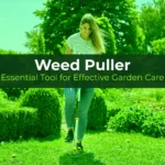 Weed Pullers: Essential Tool for Effective Garden Care