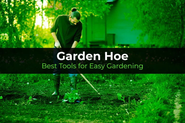 Garden Hoe: Best Tools for Easy Gardening