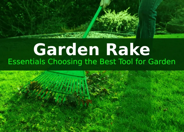 Garden Rake Essentials: Choosing the Best Tool for Garden