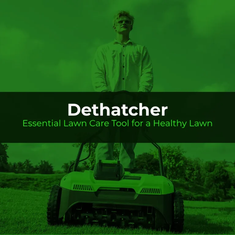 Dethatcher | Essential Lawn Care Tool for a Healthy Lawn