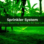 Sprinkler System: Efficient Watering Solutions for Your Lawn